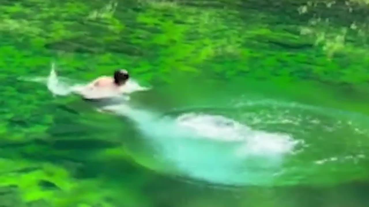 Epic Non-Fails Compilation 🔥 Top Videos You Have to See to Believe 💯