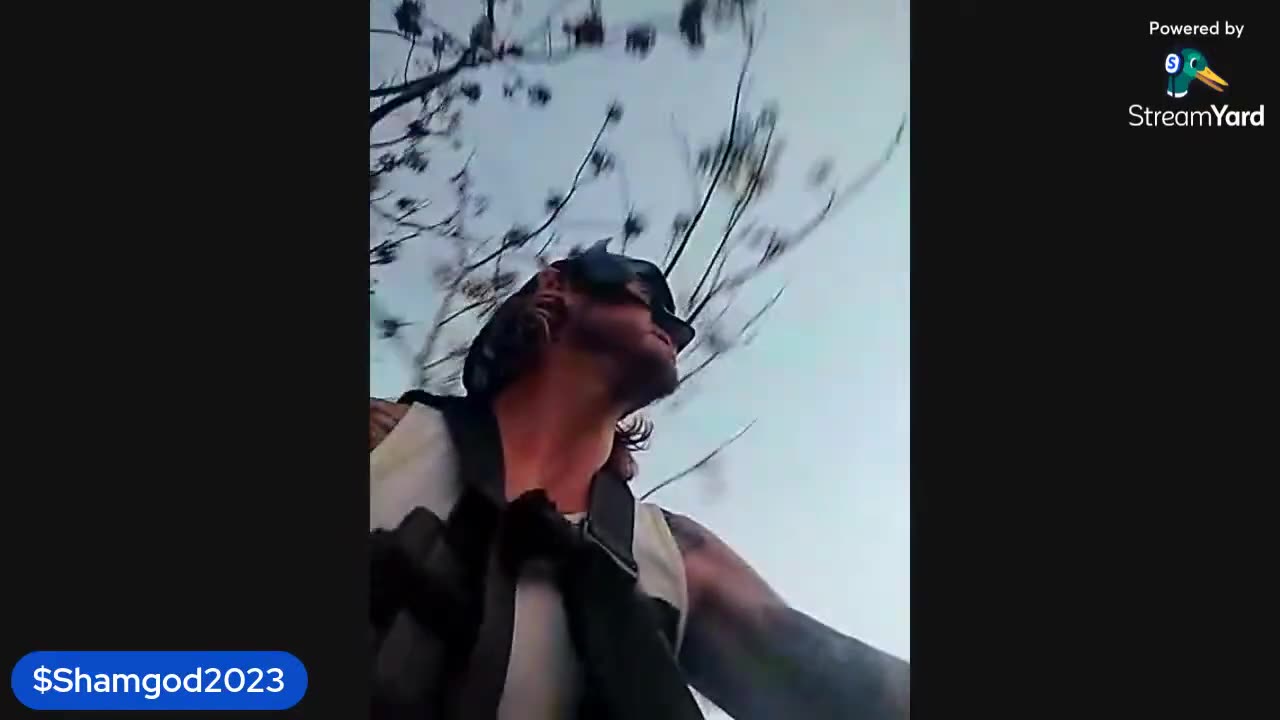 Batman Set 214 World Records!!! 🦇