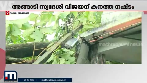 പലകുറി_അപേക്ഷിച്ചിട്ടും_മരം_വെട്ടിമാറ്റിയില്ല,_മരം_പിഴുത്_വീണ്_വീടിന്_കനത്ത_നഷ്ടം___Path