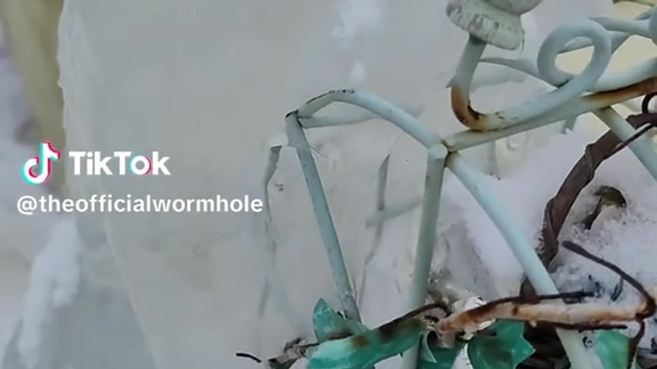 Icy Death....