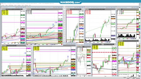 Todays $2.27 Cattle 2min.s We Talk Target's, All time Highs!