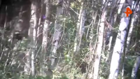 Ukraine war combat footage 7/26/25