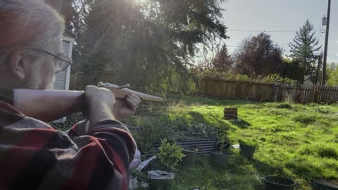 A Bespoke Garden Gun