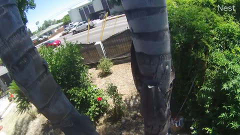 Out of Control Car Slams Into Parked Vehicles