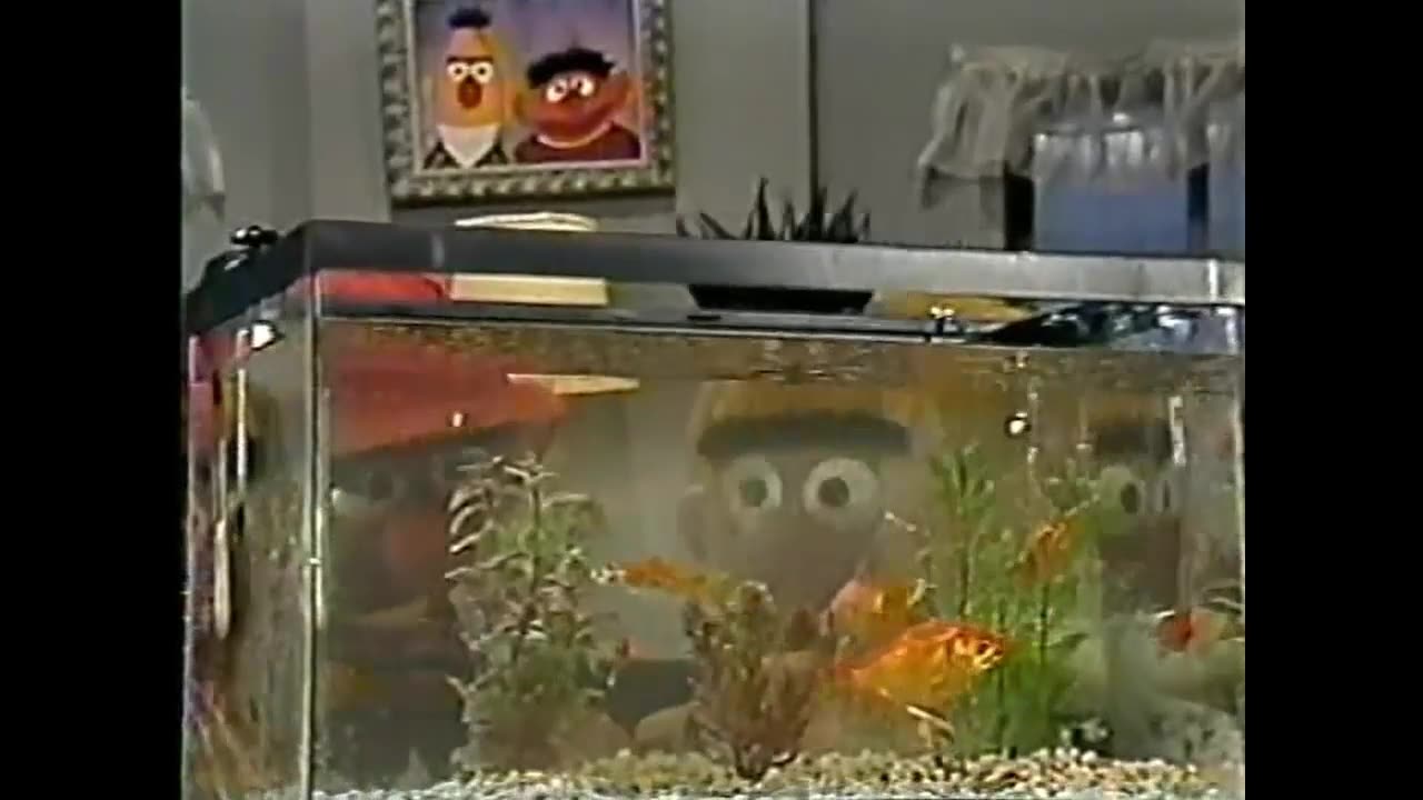 Classic Sesame Street Episode 3123