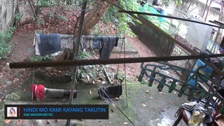 Mitsubishi Xpander 2019 Live