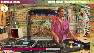 Rebel F - RD X Birdcage Radio