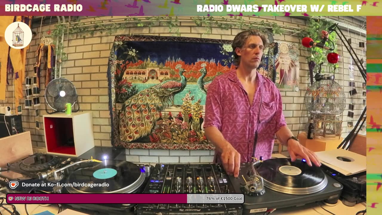 Rebel F - RD X Birdcage Radio