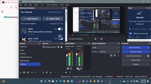 APfnS Gaming Afternoon Stream