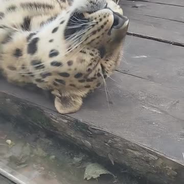 Come inside I just want to cuddle 🤣