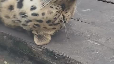 Come inside I just want to cuddle 🤣