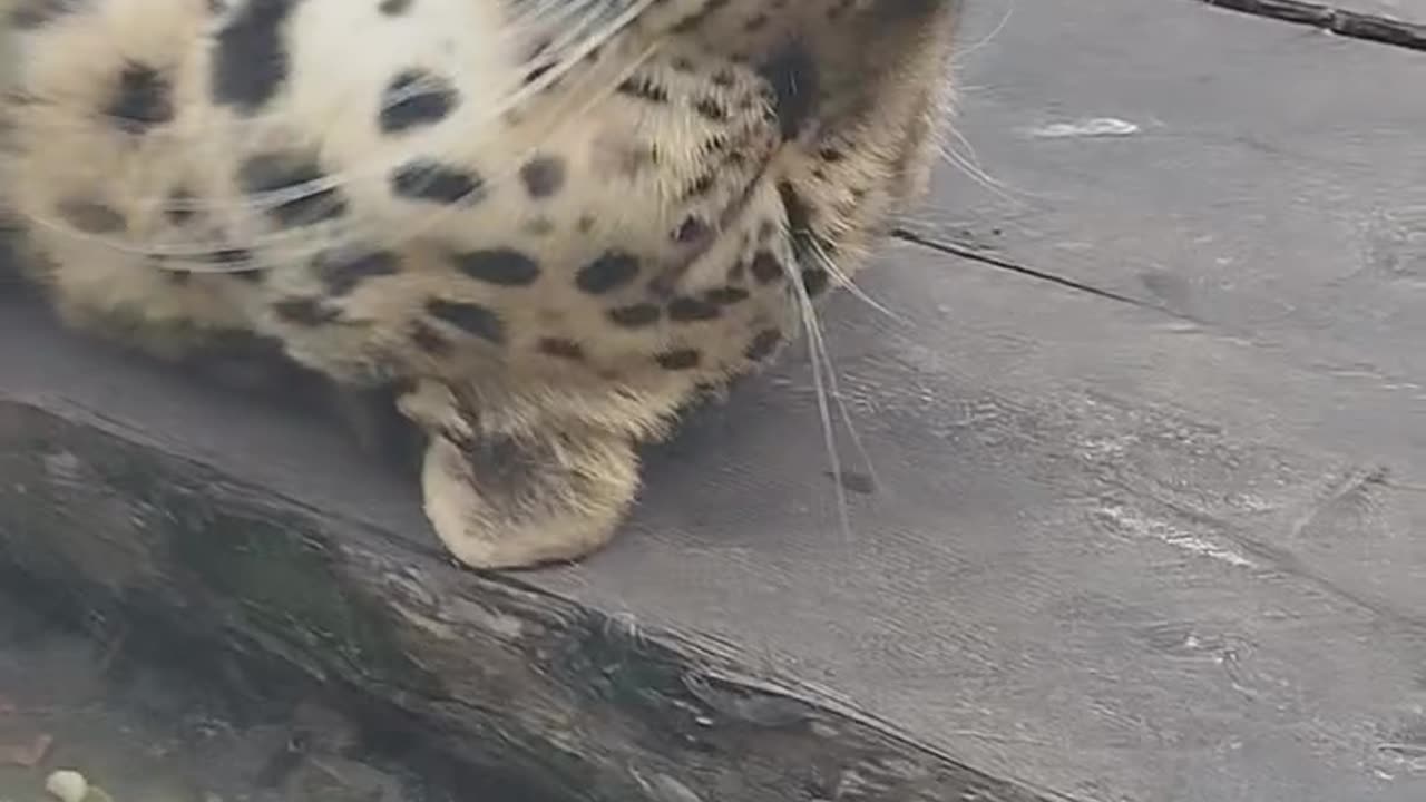 Come inside I just want to cuddle 🤣