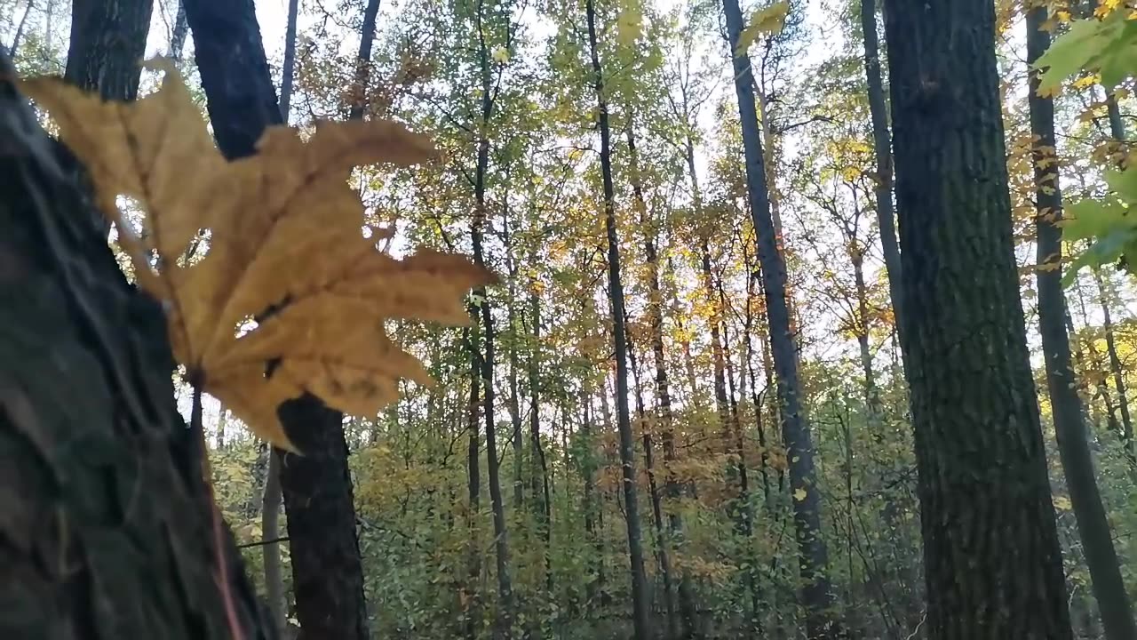 dziś zaprosiłam do siebie beztroskę ...