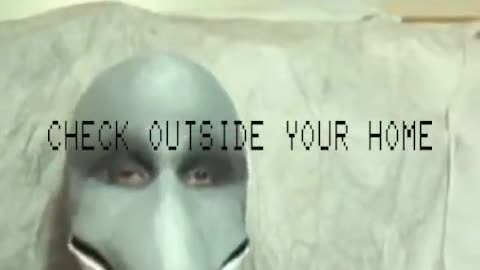 Is this ALIEN ??