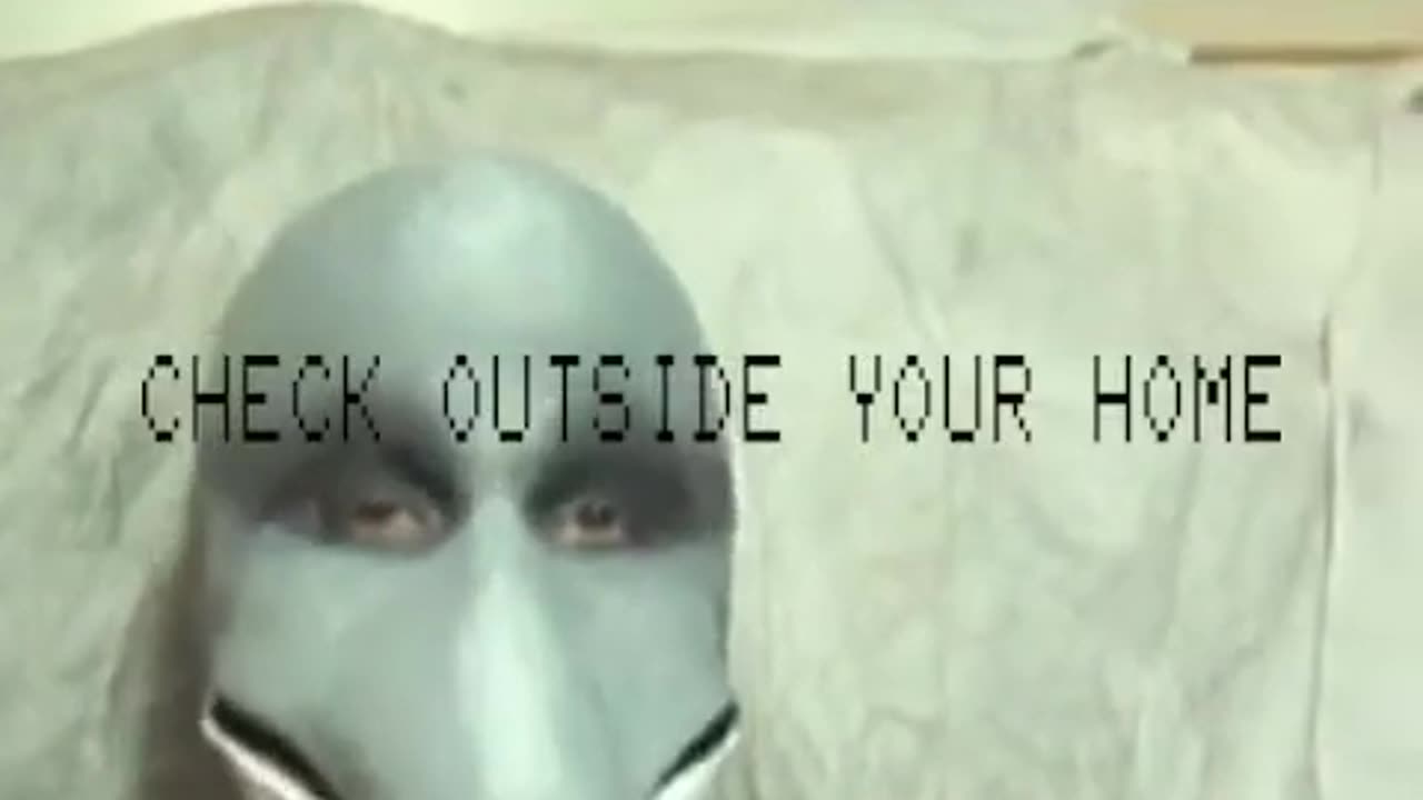 Is this ALIEN ??