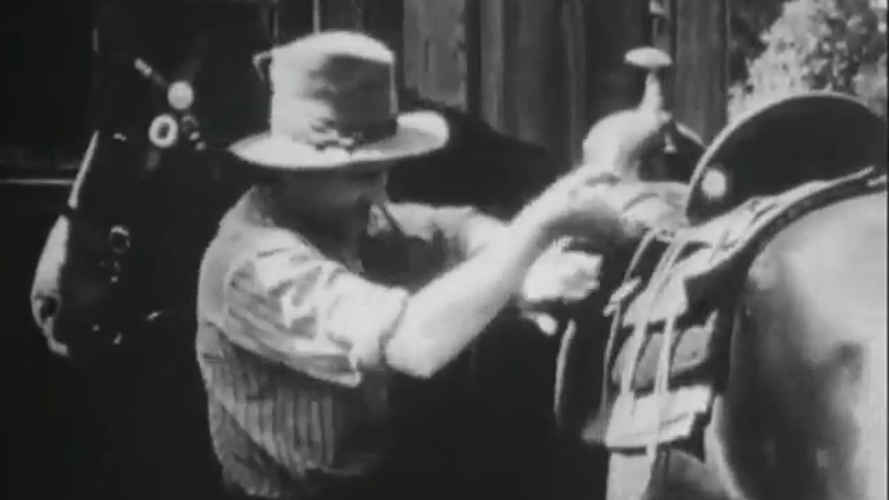 Assorted Silent Comedy Shorts 8