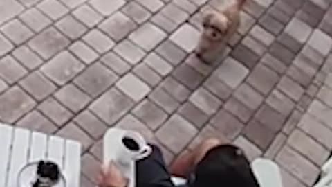 Сейчас он больше любит холодный кофе