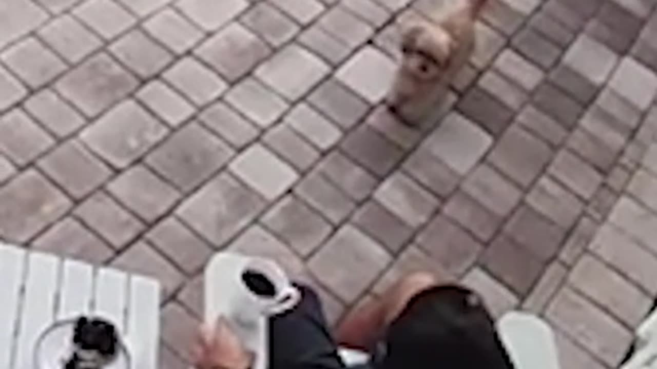 Сейчас он больше любит холодный кофе