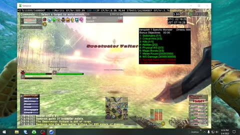 Playing Final Fantasy XI Online