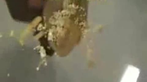 Crushed Under Glass