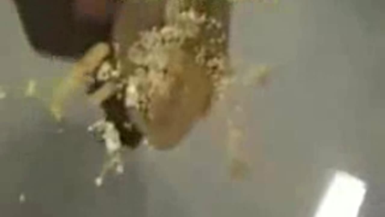 Crushed Under Glass