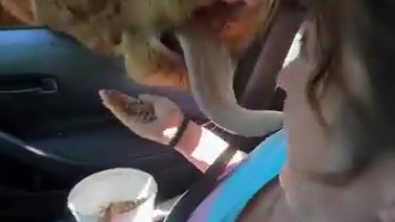 Virginia is for lovers