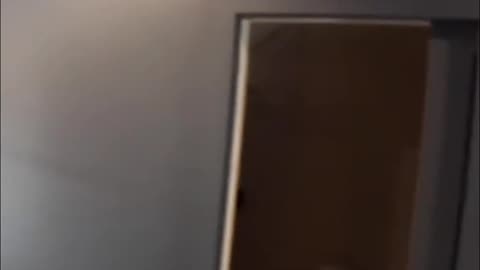 Paint Finishes: Ceiling vs. Wall Shine Explained