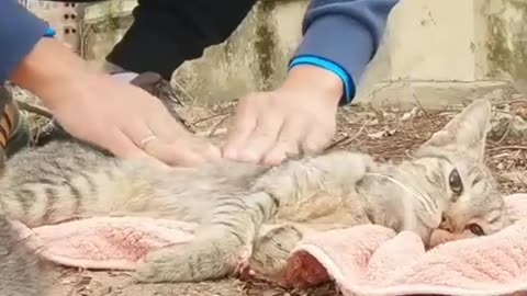 Mom was saved!