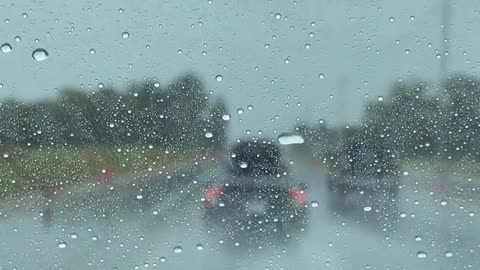 Daily Horoscope | Scorpio 🌟