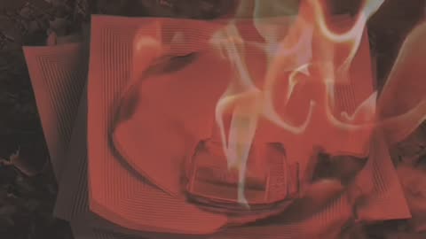 Tim Rifat TikTok Videos