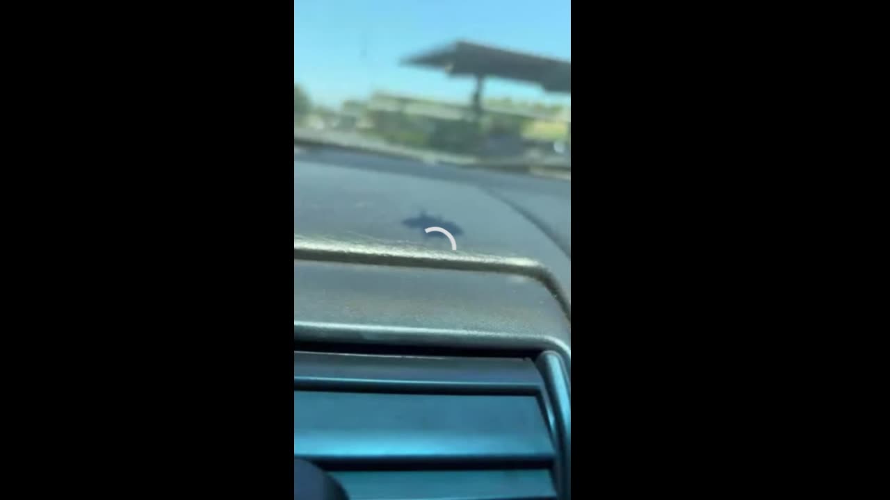 Nick, VP, and a Surprise Guest: Melissa Turds Enters the Chat (and the Courtroom)