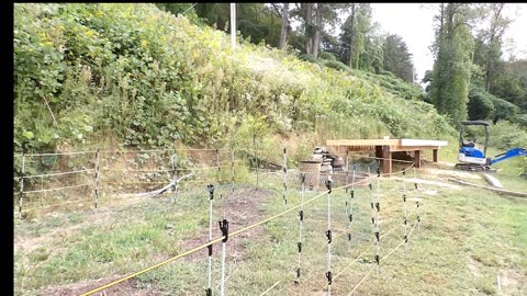 Rain water science, African Millipede, Home alone on the homestead