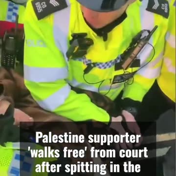 🚨🕊️ PRO-PALESTINIAN PROTESTER RELEASED AFTER INCIDENT