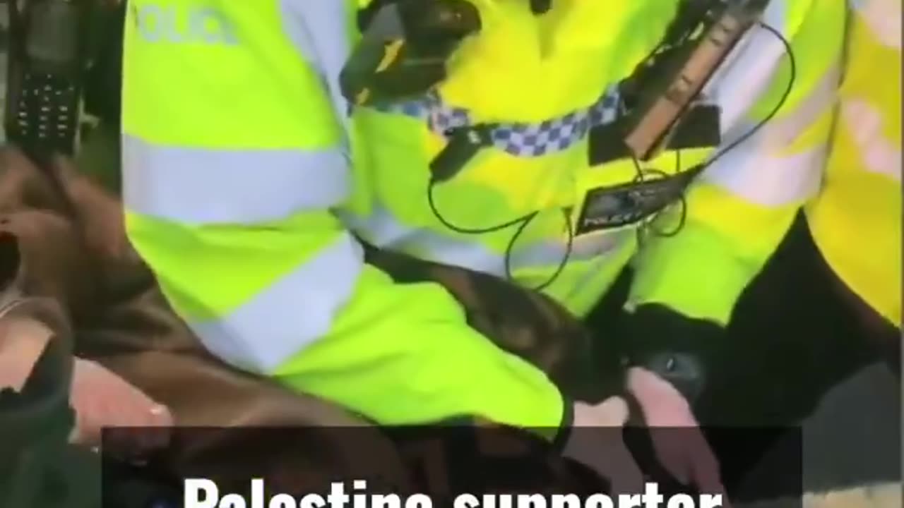 🚨🕊️ PRO-PALESTINIAN PROTESTER RELEASED AFTER INCIDENT