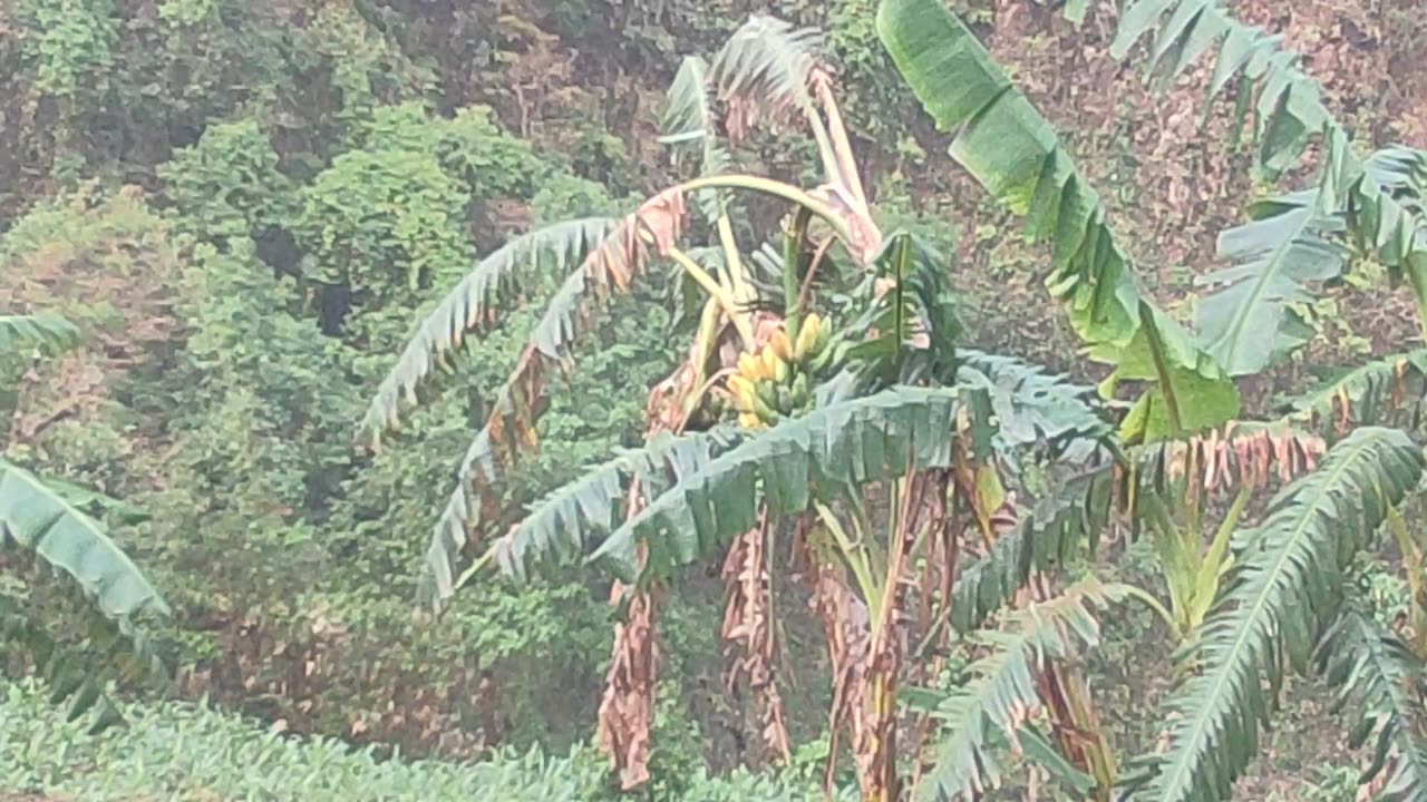 Rural village ♥️♥️♥️