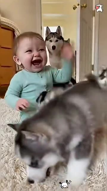 Cute Baby & Dog Funny Moments 👶🏻🐕😍🤭🤣😂