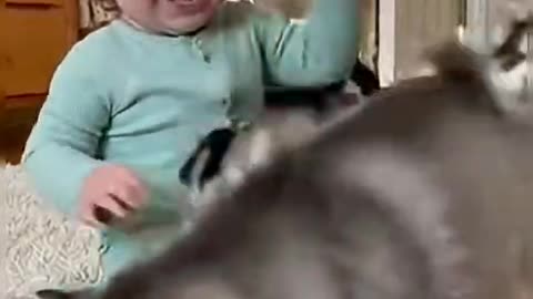 Cute Baby & Dog Funny Moments 👶🏻🐕😍🤭🤣😂