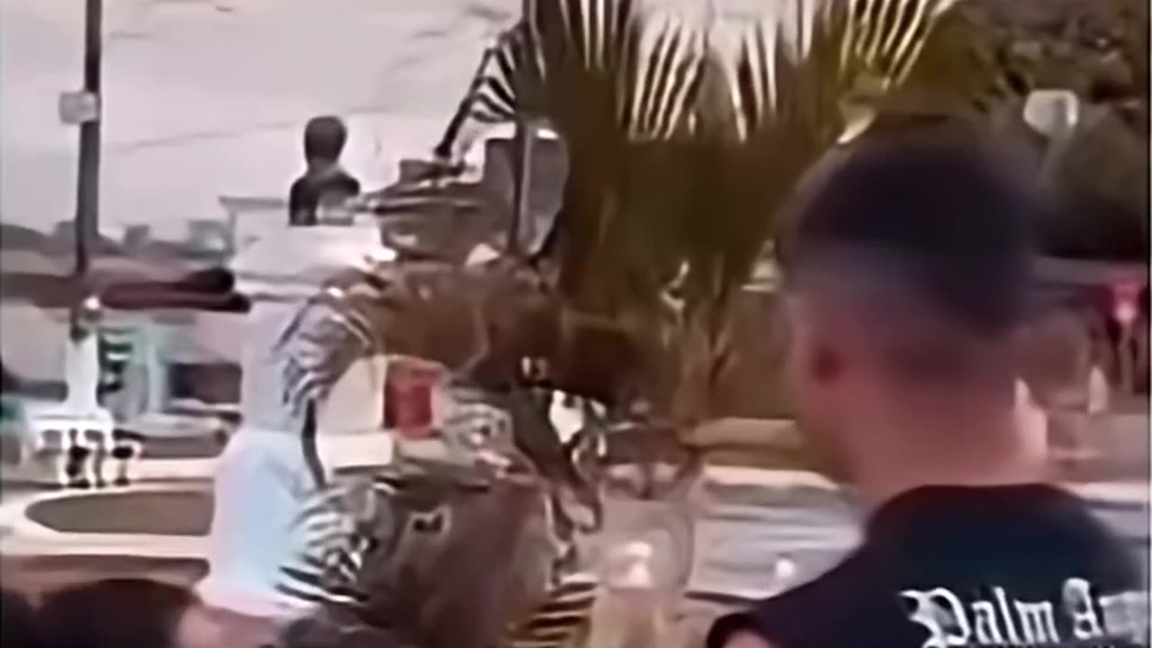 😂💀 The Hilarious Cost of Victory | FunFM