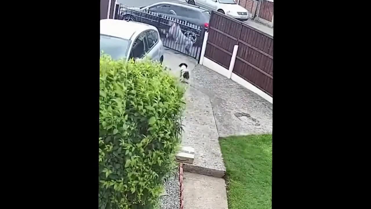 Bye Bye Bad Vibes! Funniest Moments Compilation #1