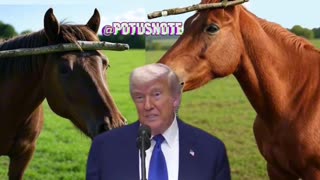 🇺🇸POTUS Note 🇺🇸 - @PapiTrumpo We are winning.
