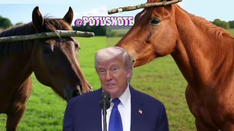 🇺🇸POTUS Note 🇺🇸 - @PapiTrumpo We are winning.