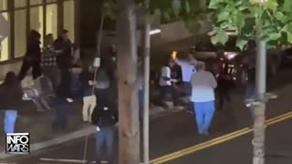 The Alex Jones Shows, LIVE !