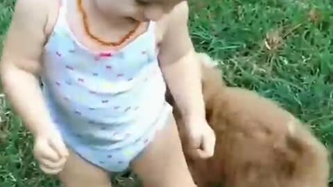 Dogs and babies 🐶