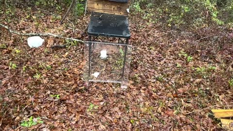 90 GRAIN 9X25 DILLION VS BULLETPROOF GLASS