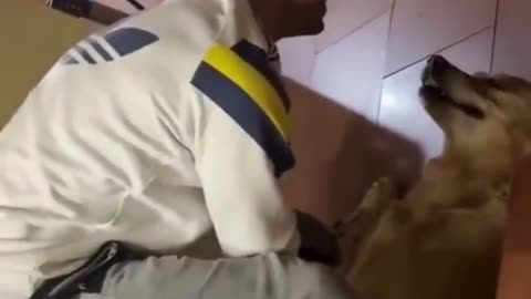 😂💆‍♂️ You Need This Chiro Adjustment to Reset Your Life! | FunFM