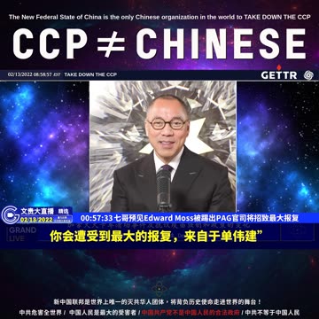 （18|61）七哥预见Edward Moss被踢出PAG官司将招致最大报复【2022年02月13日文貴大直播精选】