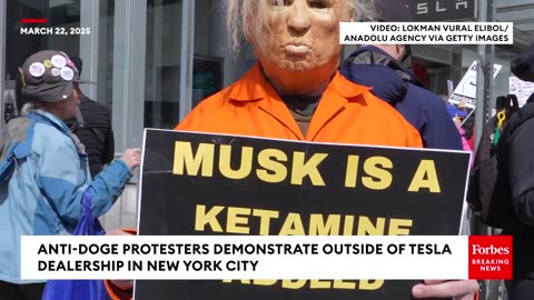 Huge protest Against DOGE outside tesla