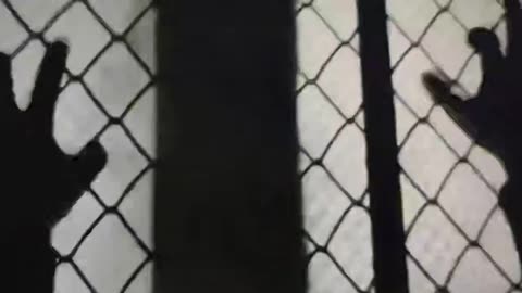 President Trump - This is why the deep-state and the liberal left are against him