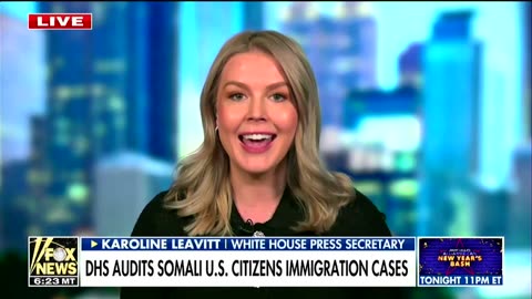 'Not afraid': Karoline Leavitt says Trump 'absolutely' wants rare punishment for Somalis
