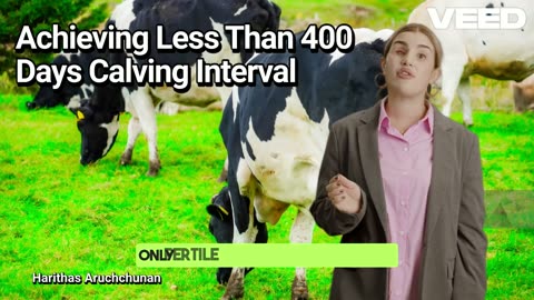 Achieve 400 Days Calving Interval